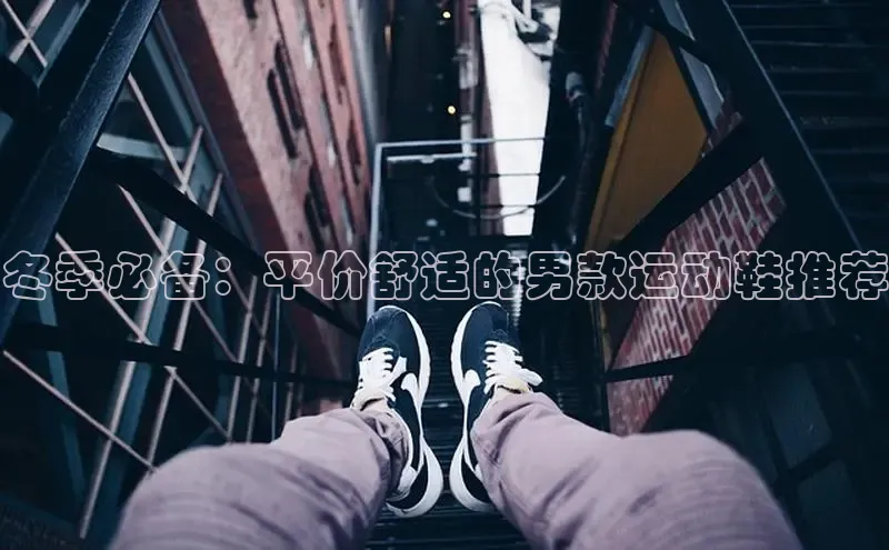 bsport体育官方网站BSPORTS百度搜索资源平台冬季必备：平价舒适的男款运动鞋推荐