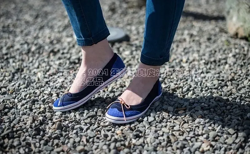 B体育官方网站入口官网百度技术学院女士皮鞋 2024 年新款真皮：引领时尚
风潮的必备品