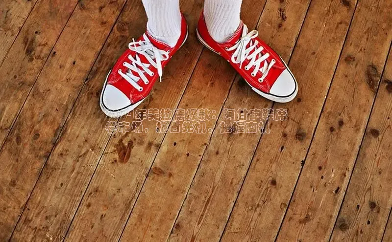 Bsport体育在线官网百度集团2024年美拉德爆款：阿甘跑鞋席
卷市场，抢占先机，把握商机