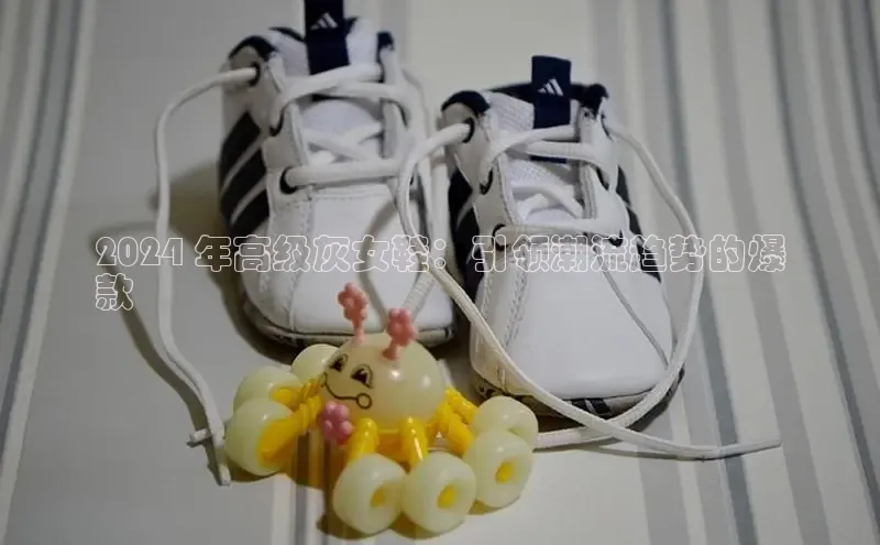 b体育下载入口app极氪智能科技2024 年高级灰女鞋：引领潮流趋势的爆
款