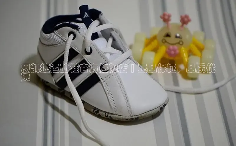 B体育手机版下载app小度商城思凯捷运动鞋官方旗舰店 | 正品保证，品质优
选