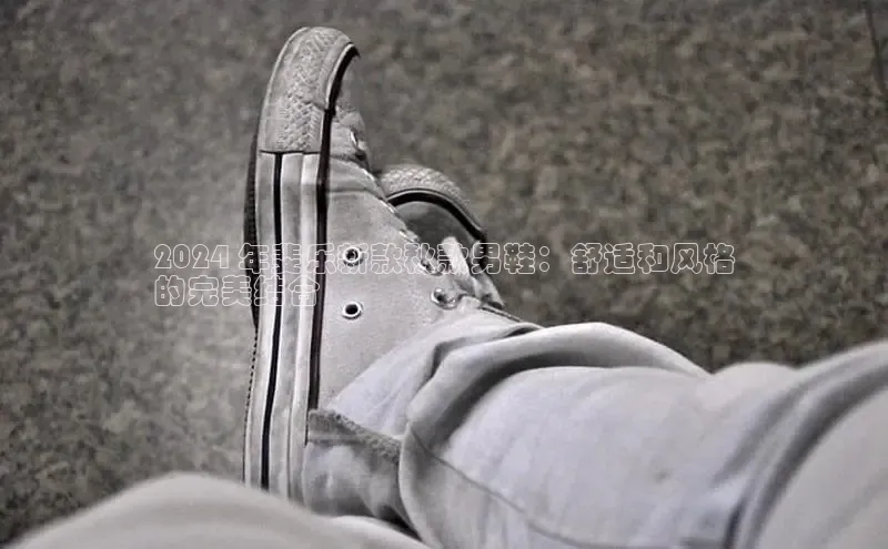 bsports登录入口光魔科技2024 年斐乐新款秋款男鞋：舒适和风格
的完美结合