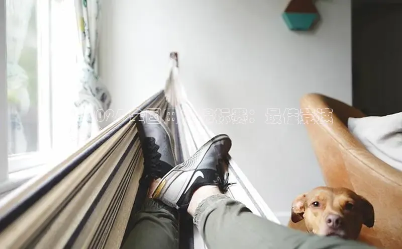 B体育必一官网网易**2024 全国田径锦标赛：最佳竞速
鞋**