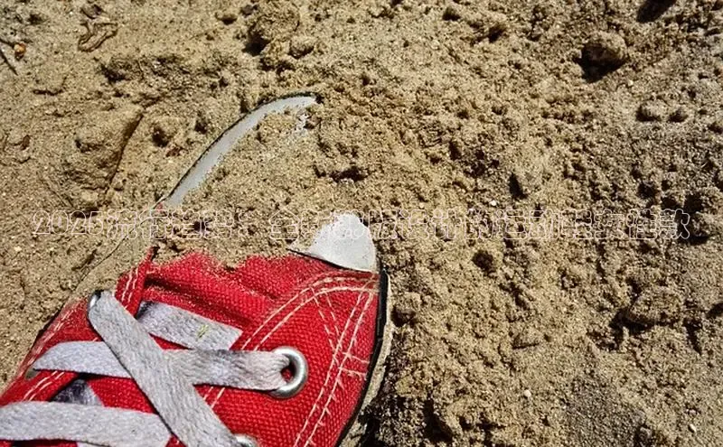 2025流行趋势：全新韩版设计的运动鞋女性款