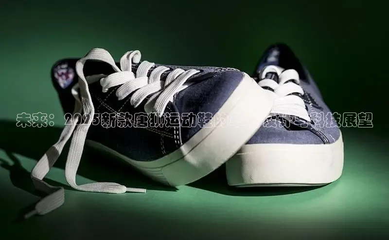 未来：2025新款唐狮运动鞋的革新设计与科技展望