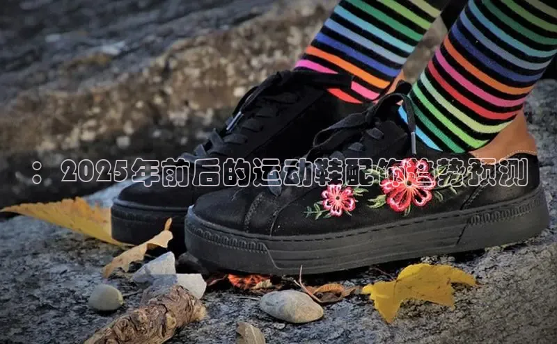 ：2025年前后的运动鞋配饰趋势预测