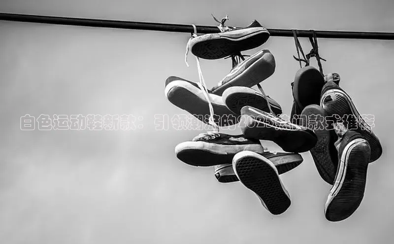 B—sports旧版下载