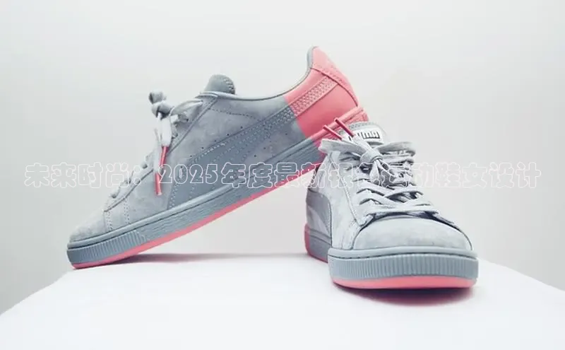 B体育网页版在线登录官网