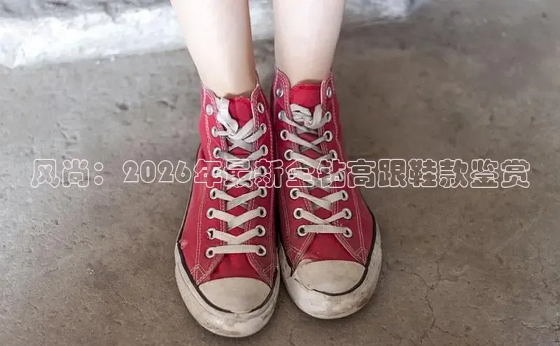 B·体育在线登录入口