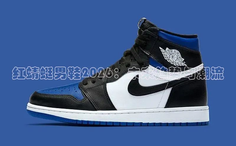 bsports登录入口