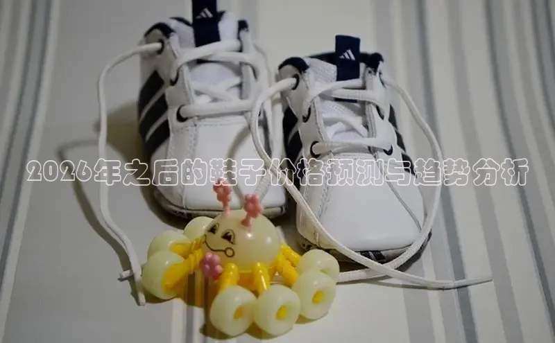 Bsport体育APP下载全站